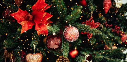 December 2024 Holiday Schedule