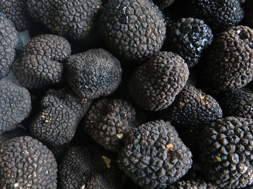 Ingredient Spotlight: Truffles
