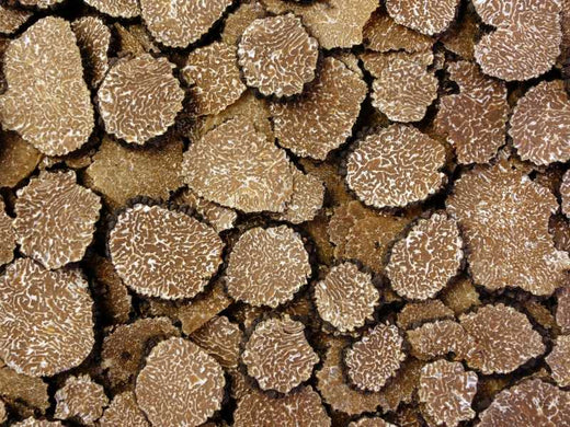 Truffle Lovers Newsletter