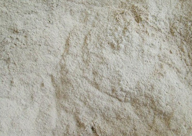 MR14 Cep/Porcini Mushroom Powder