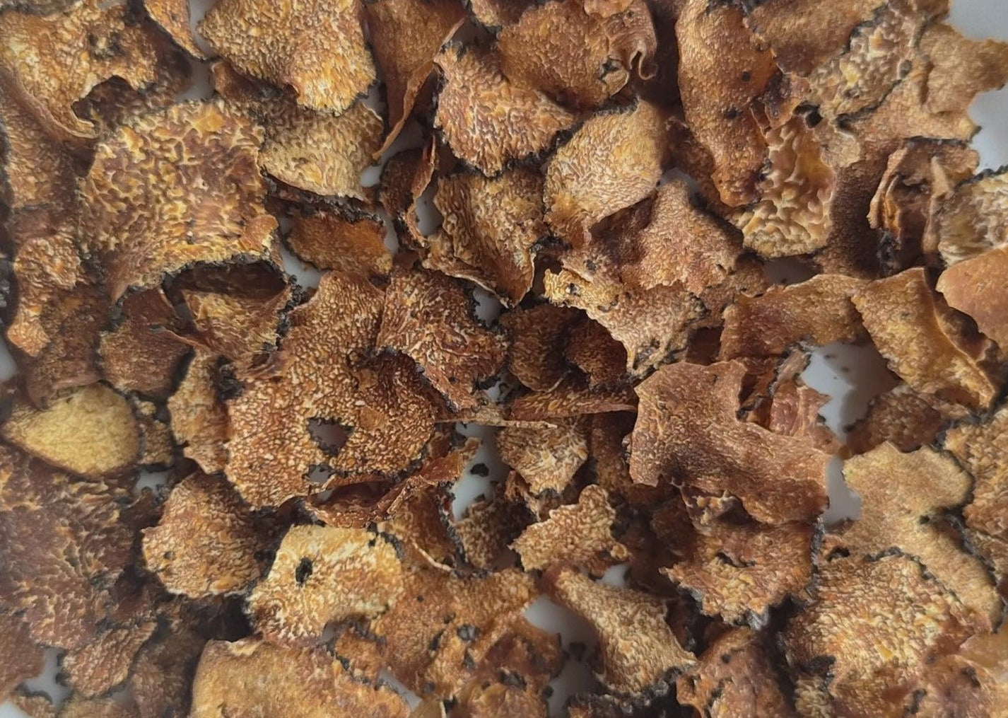 Truffle - Preserved & Dried