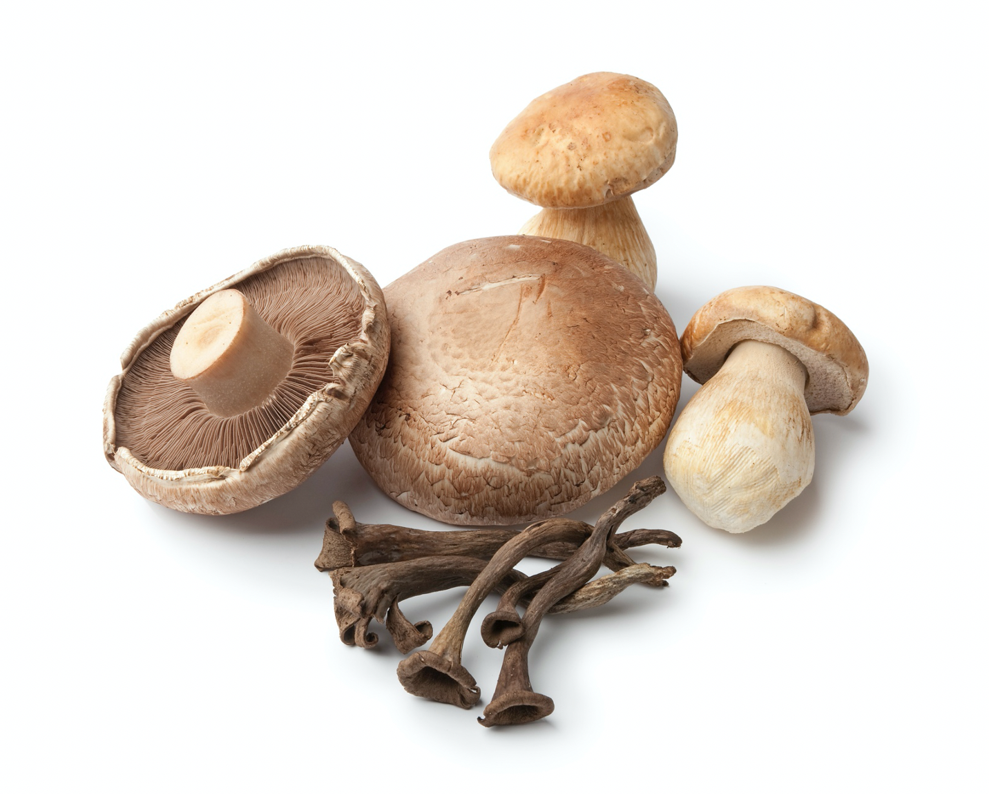 Mushrooms