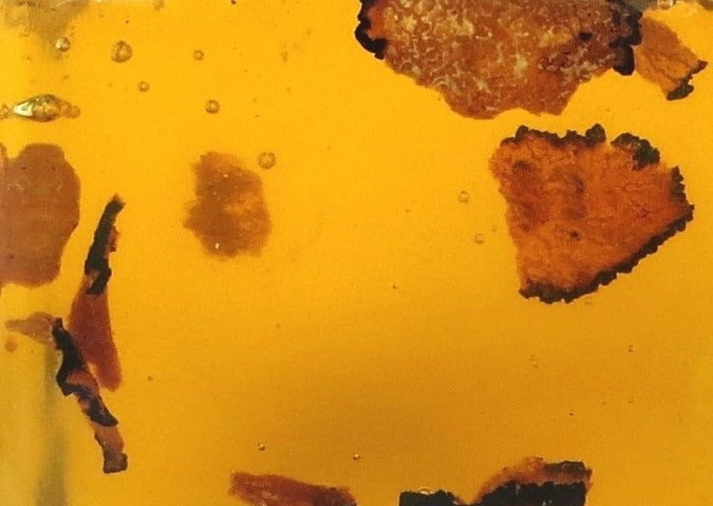 Truffle Condiments