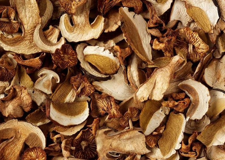 MFWP1 Dried Forest Wild Mushroom Mix Pieces 10mm