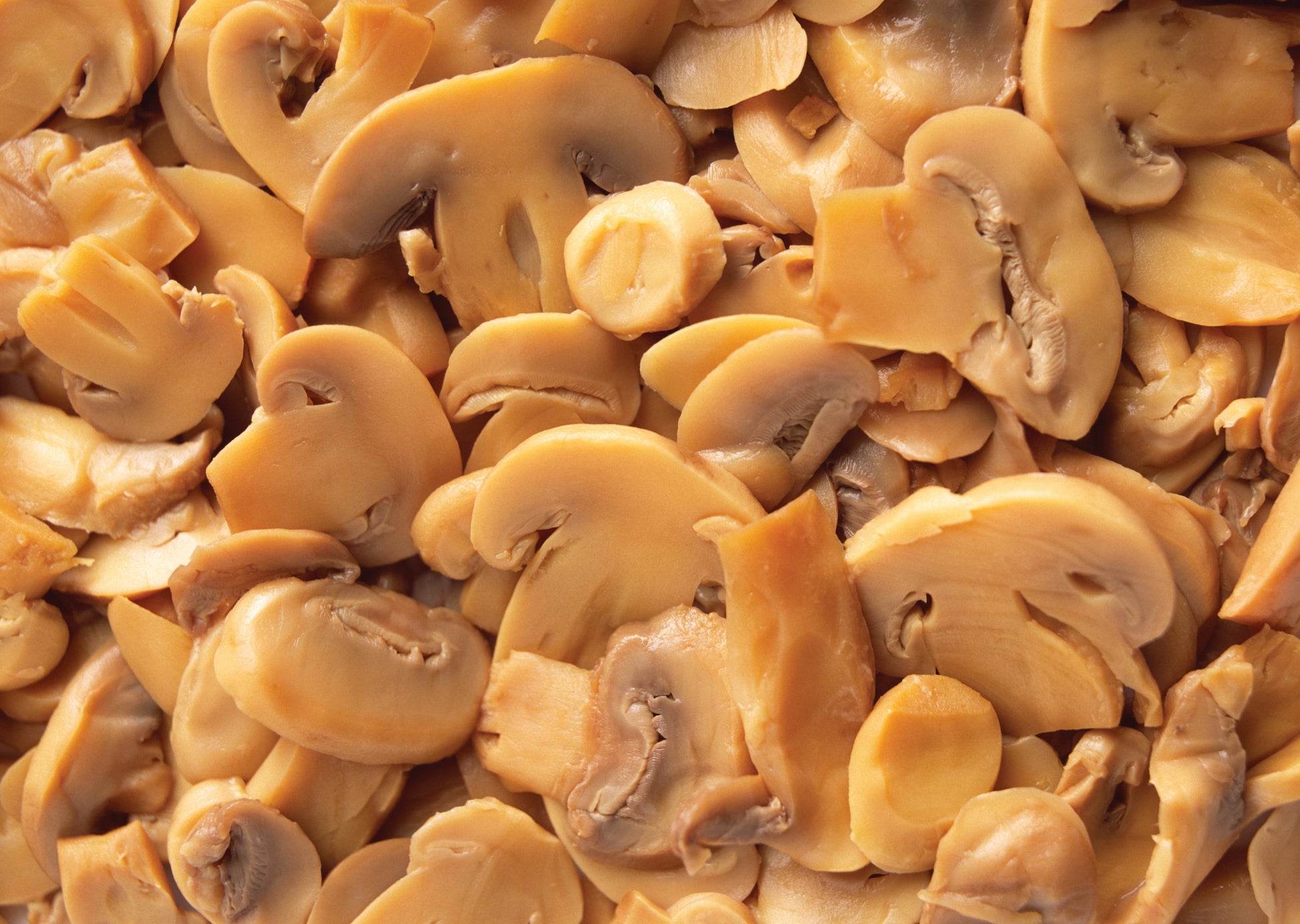 Marinated Champignon