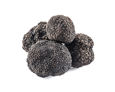 Truffle - Preserved & Dried
