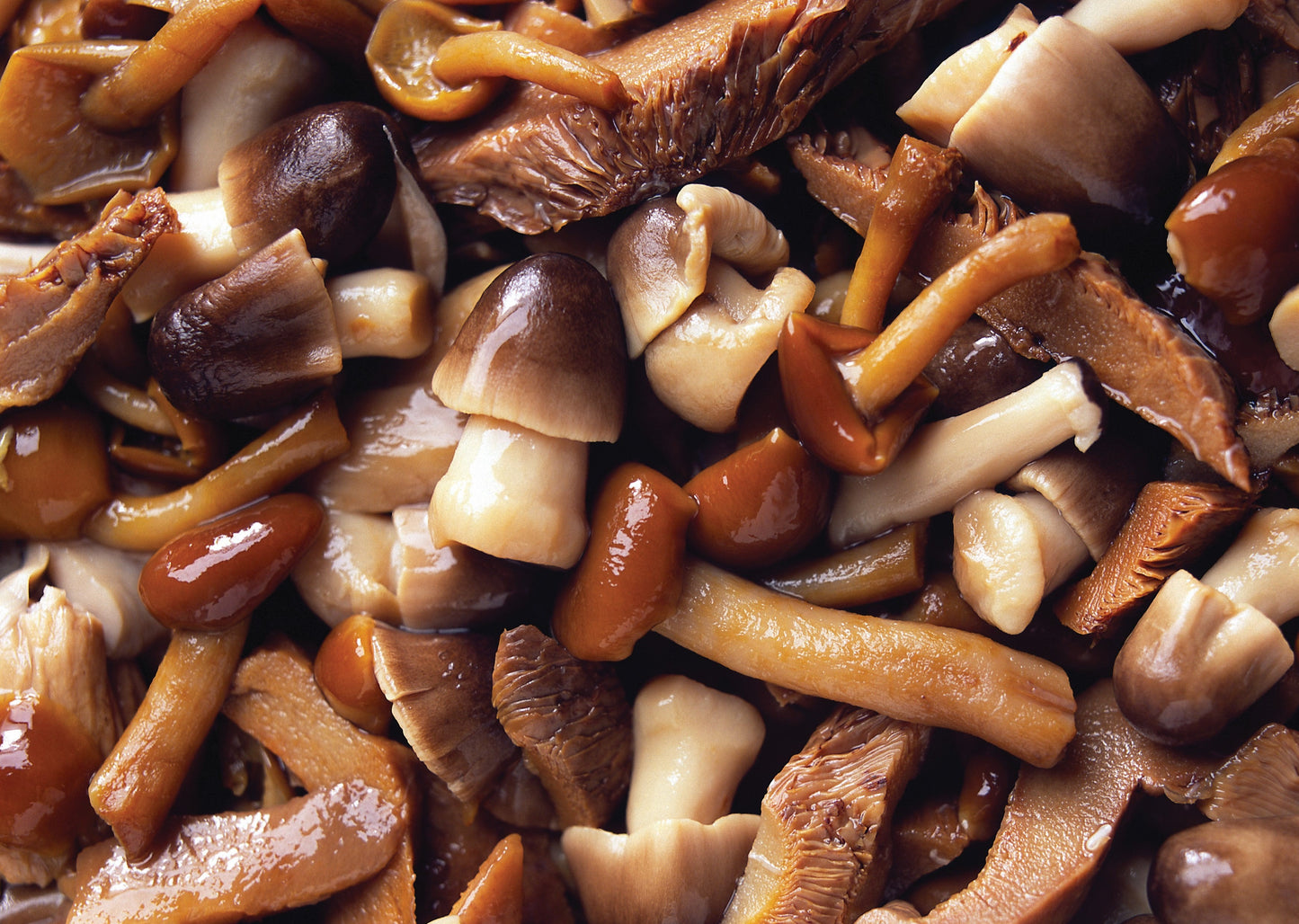 Mushrooms