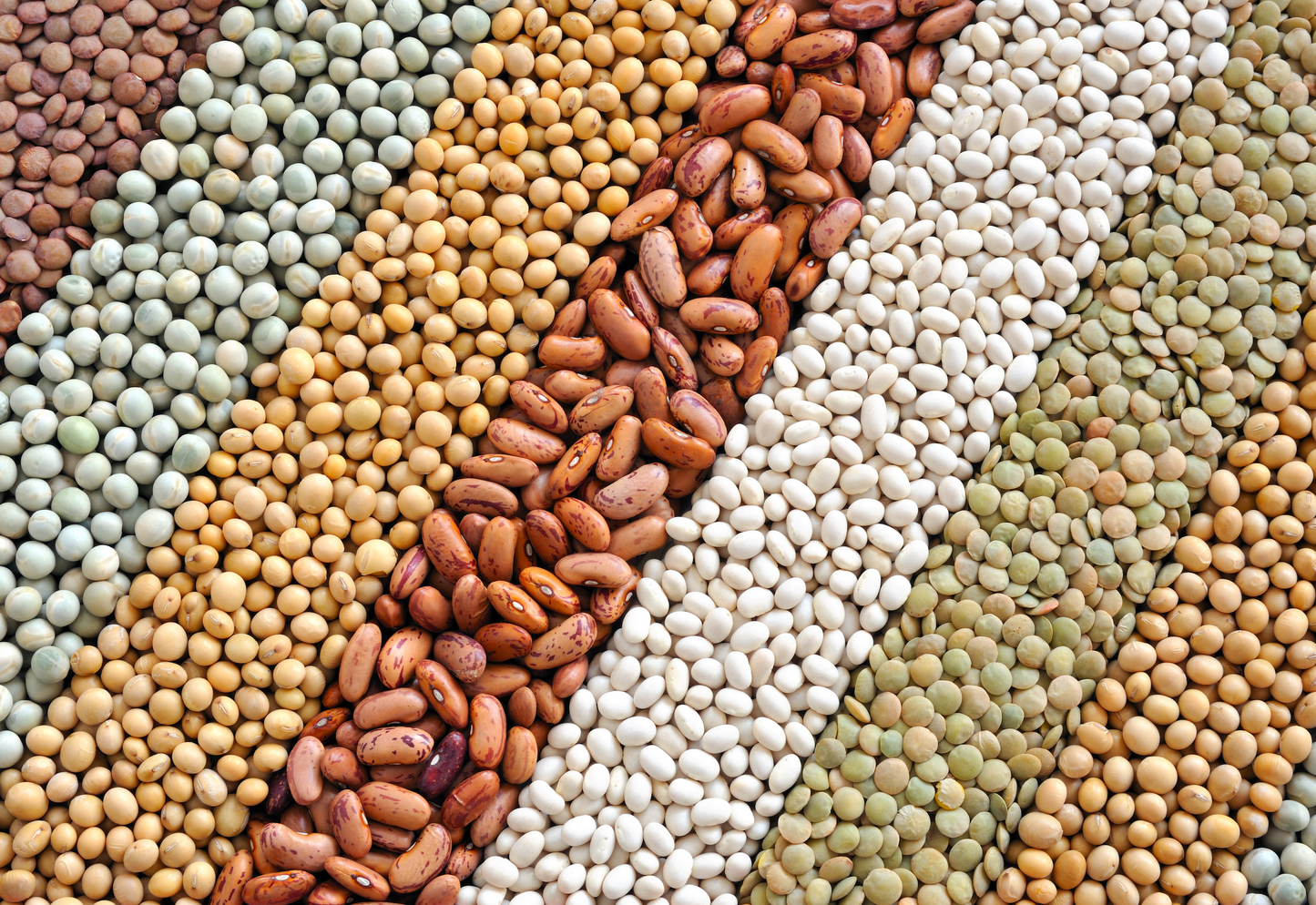 Pulses and Cereals