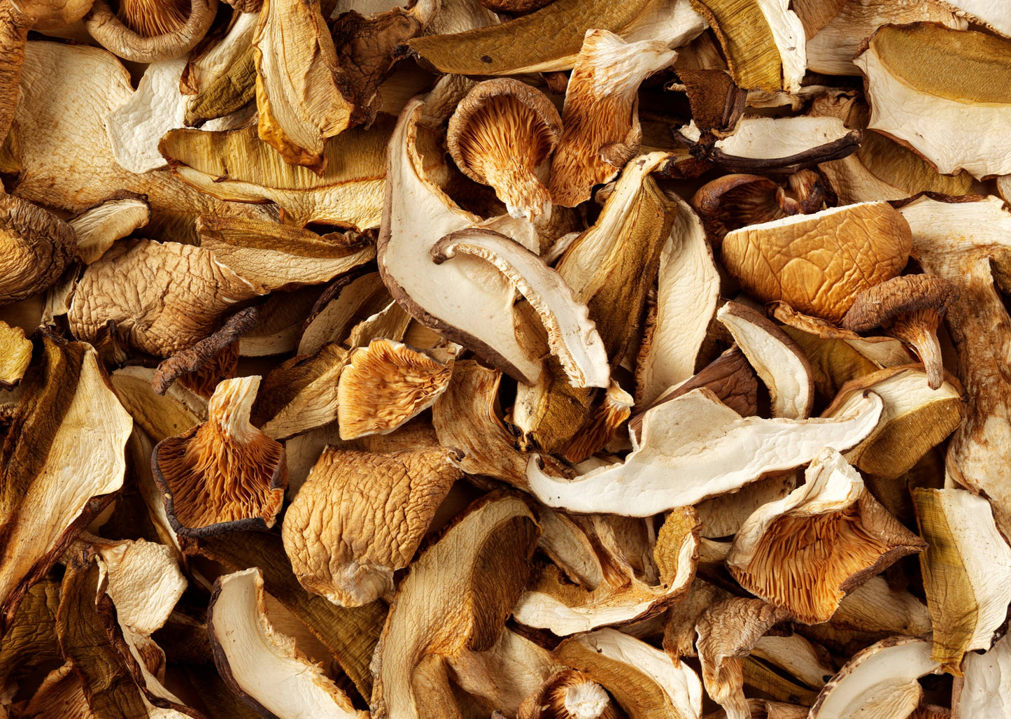 MG15A Dried Mushroom Medley