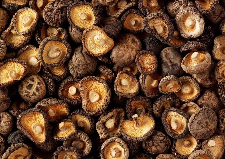 MG13 Dried Shii Take Mushroom Caps