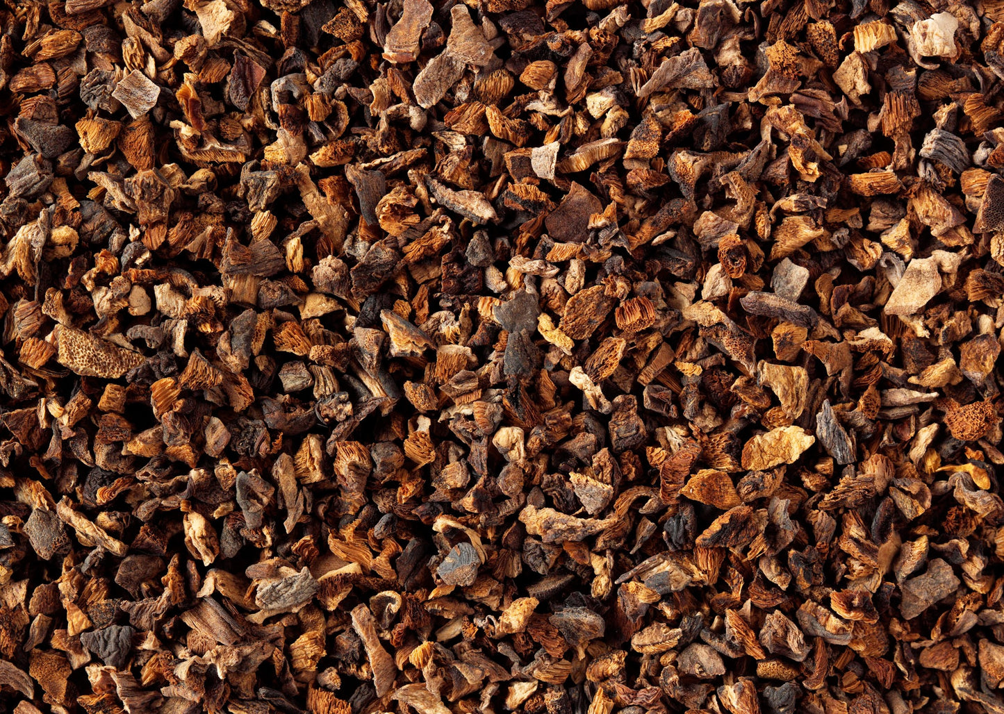 Dried Slippery Jack Mushroom Pieces