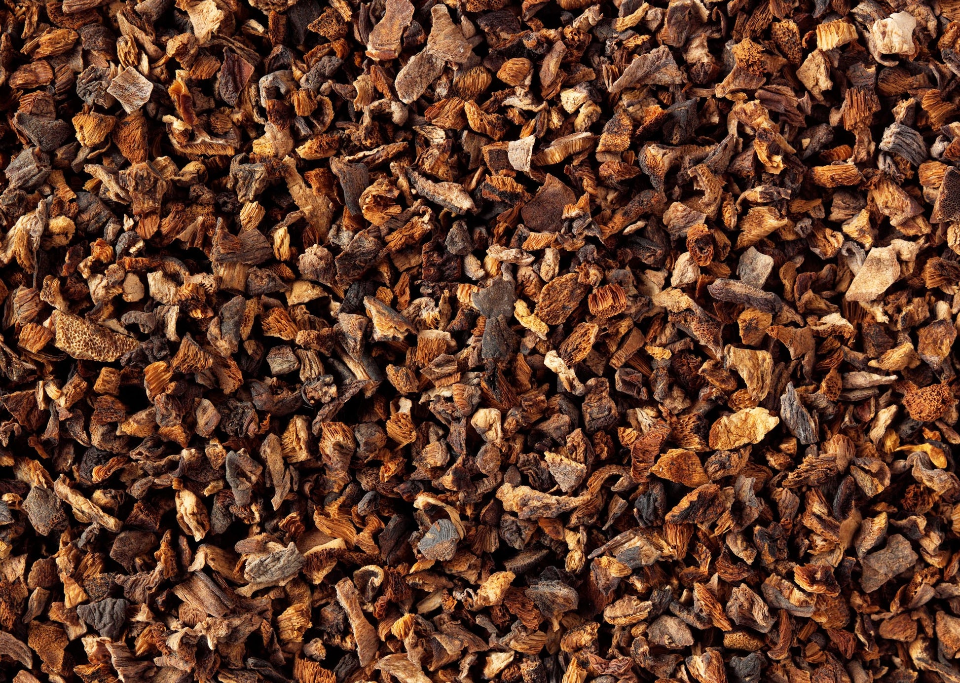 Dried Slippery Jack Mushroom Pieces